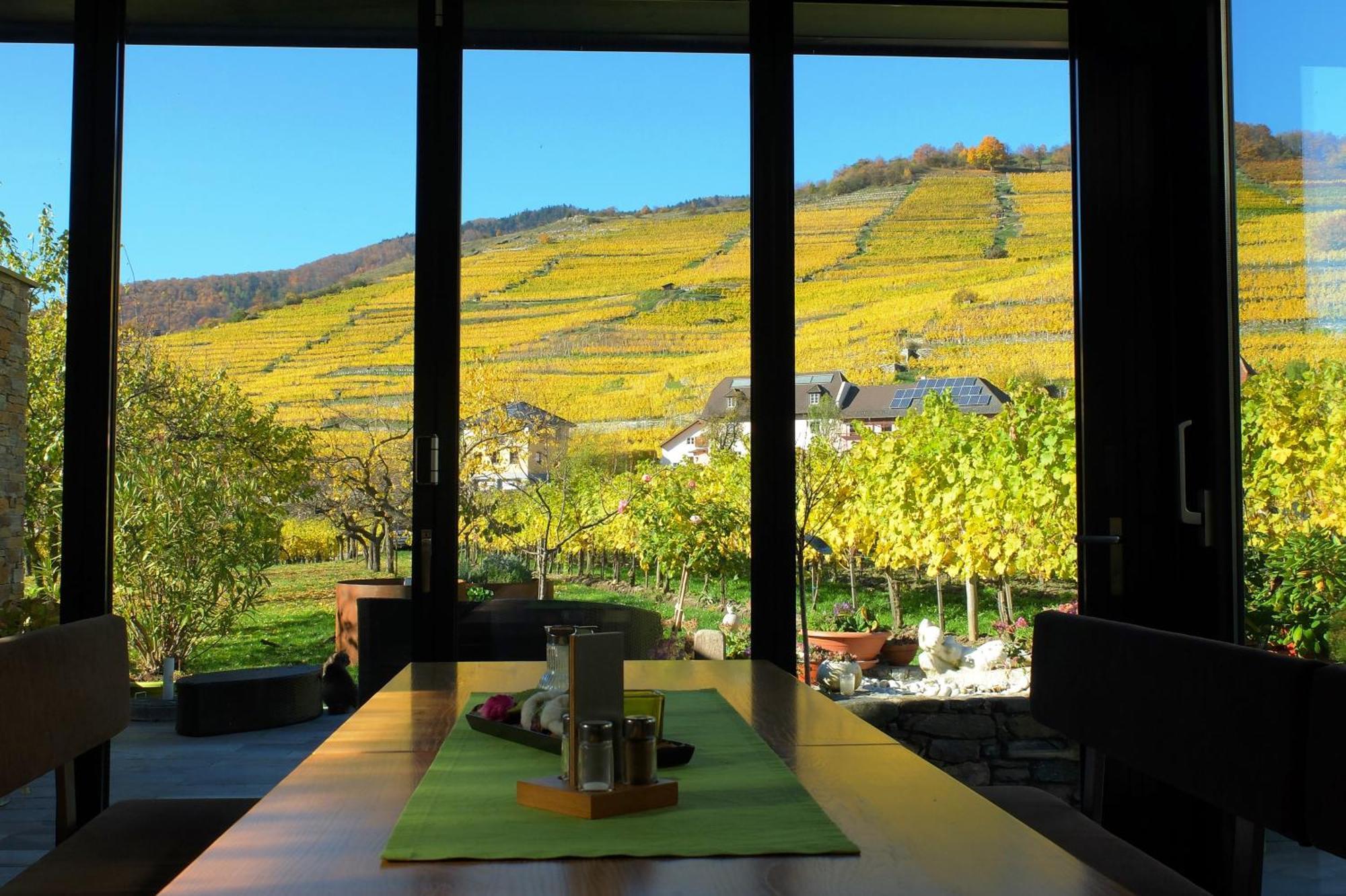 Habitación en casa particular Weingut Donabaum 