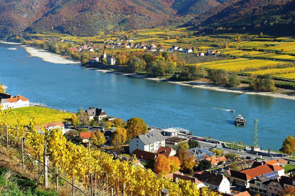 Homestay Weingut Donabaum 