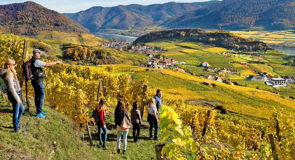 Weingut Donabaum 